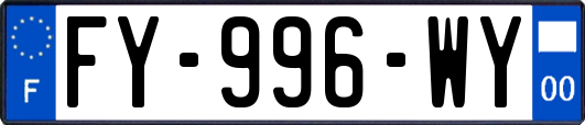 FY-996-WY