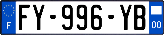 FY-996-YB