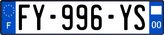 FY-996-YS