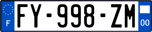 FY-998-ZM