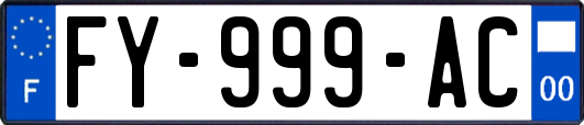 FY-999-AC