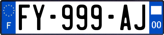 FY-999-AJ