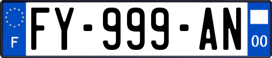 FY-999-AN