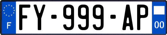 FY-999-AP