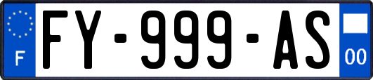 FY-999-AS