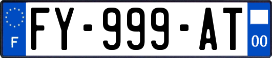 FY-999-AT