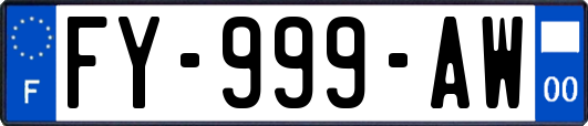 FY-999-AW