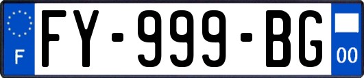 FY-999-BG