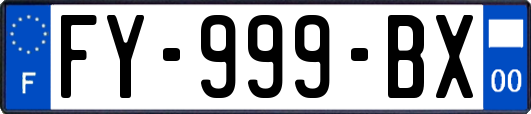 FY-999-BX