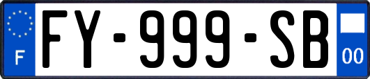 FY-999-SB