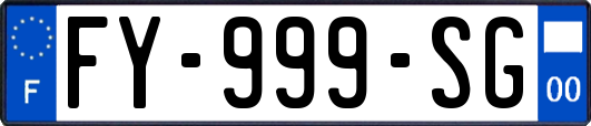 FY-999-SG