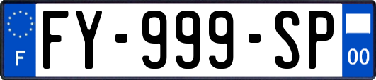 FY-999-SP