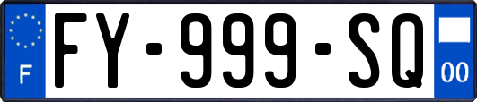 FY-999-SQ