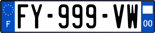 FY-999-VW