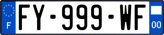 FY-999-WF