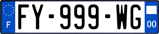FY-999-WG