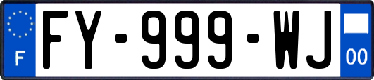 FY-999-WJ