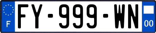 FY-999-WN