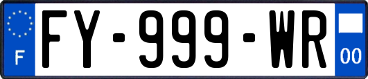 FY-999-WR
