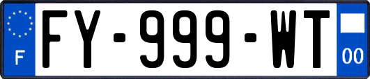 FY-999-WT