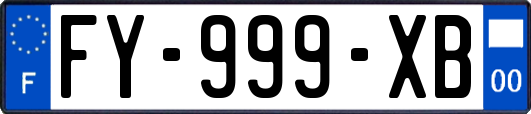 FY-999-XB