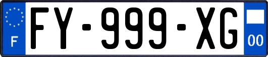 FY-999-XG