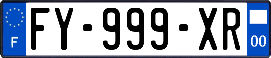 FY-999-XR