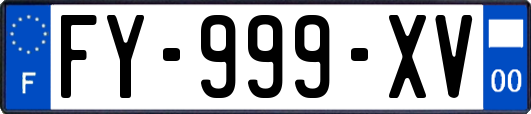 FY-999-XV