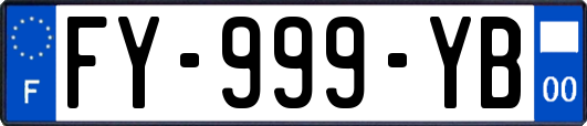 FY-999-YB