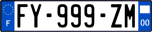 FY-999-ZM