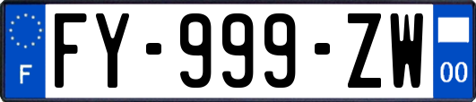 FY-999-ZW