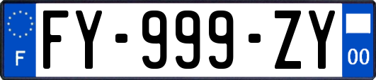 FY-999-ZY