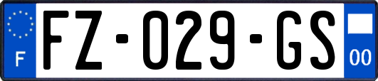 FZ-029-GS