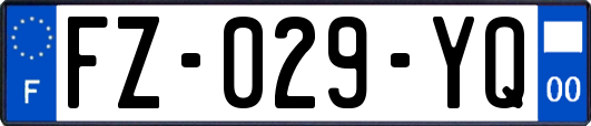 FZ-029-YQ