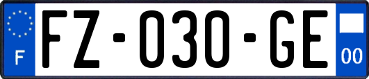 FZ-030-GE