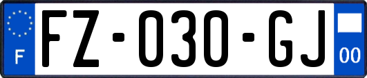 FZ-030-GJ
