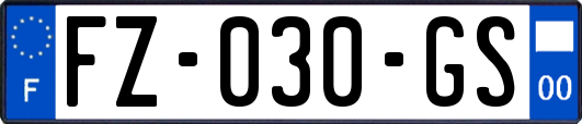 FZ-030-GS