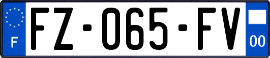 FZ-065-FV