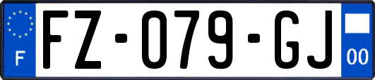 FZ-079-GJ