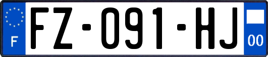 FZ-091-HJ