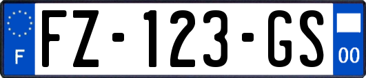 FZ-123-GS