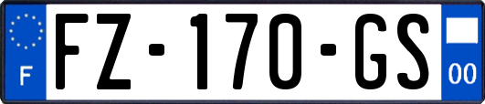 FZ-170-GS
