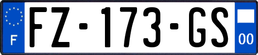 FZ-173-GS