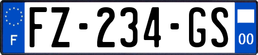 FZ-234-GS