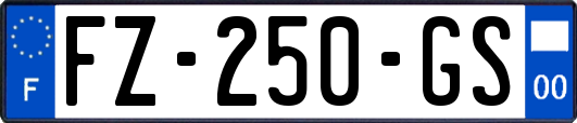 FZ-250-GS