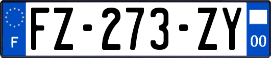 FZ-273-ZY