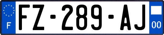 FZ-289-AJ