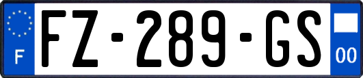FZ-289-GS