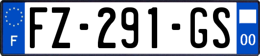 FZ-291-GS