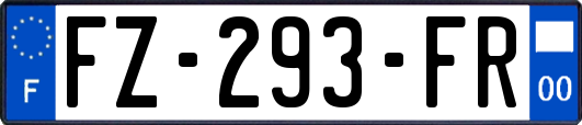 FZ-293-FR